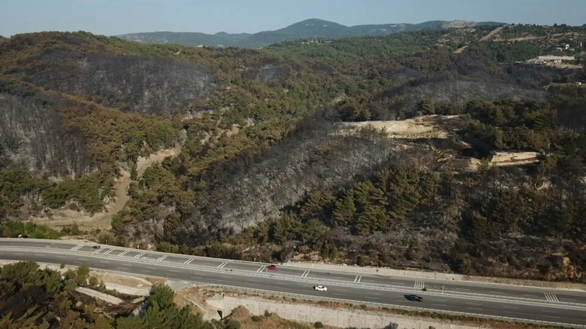 İzmir Bornova'daki Orman Yangınına Havadan Müdahale Devam Ediyor